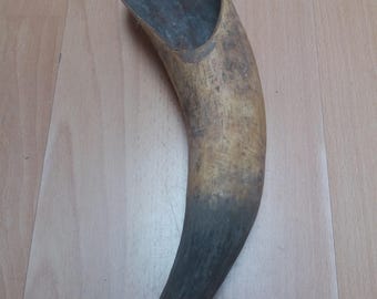 Cuerno de vaca grande de estilo vintage, decoración rústica de granja (27 cm)