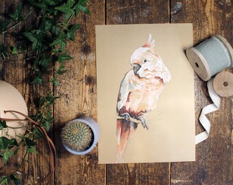 Cockatoo Giclée Print (unframed) // bird art // parrot illustration // beautiful prints // birthday gift // quality print
