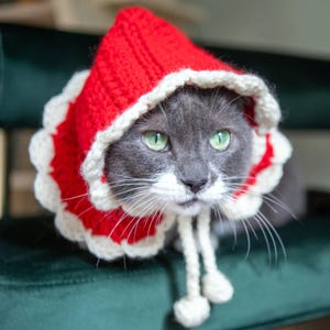 May include: A gray cat with green eyes wearing a handmade red and white crocheted hood. The hood has a scalloped edge and white ties with pom-poms. The cat is sitting on a green surface.