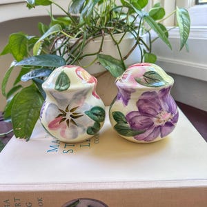 Hand-Painted Floral Ceramic Salt & Pepper Shaker Set
