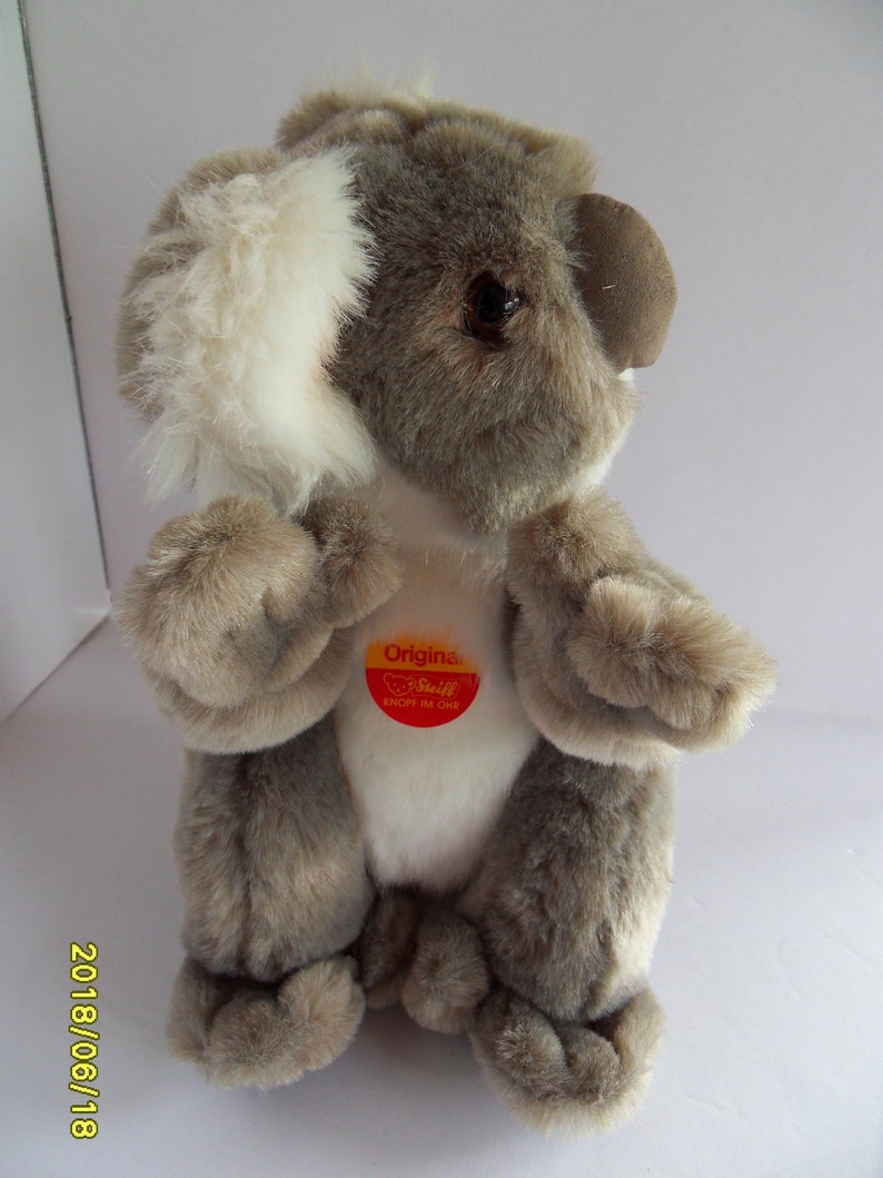 steiff koala bear