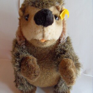 Steiff hedgehog, purcupine, begging, very large, w. button/flag, made in Germany 787