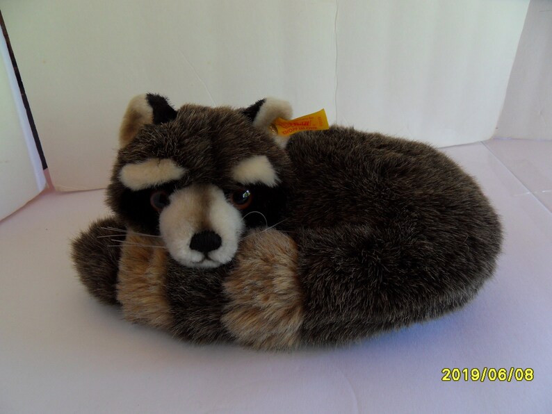steiff raccoon