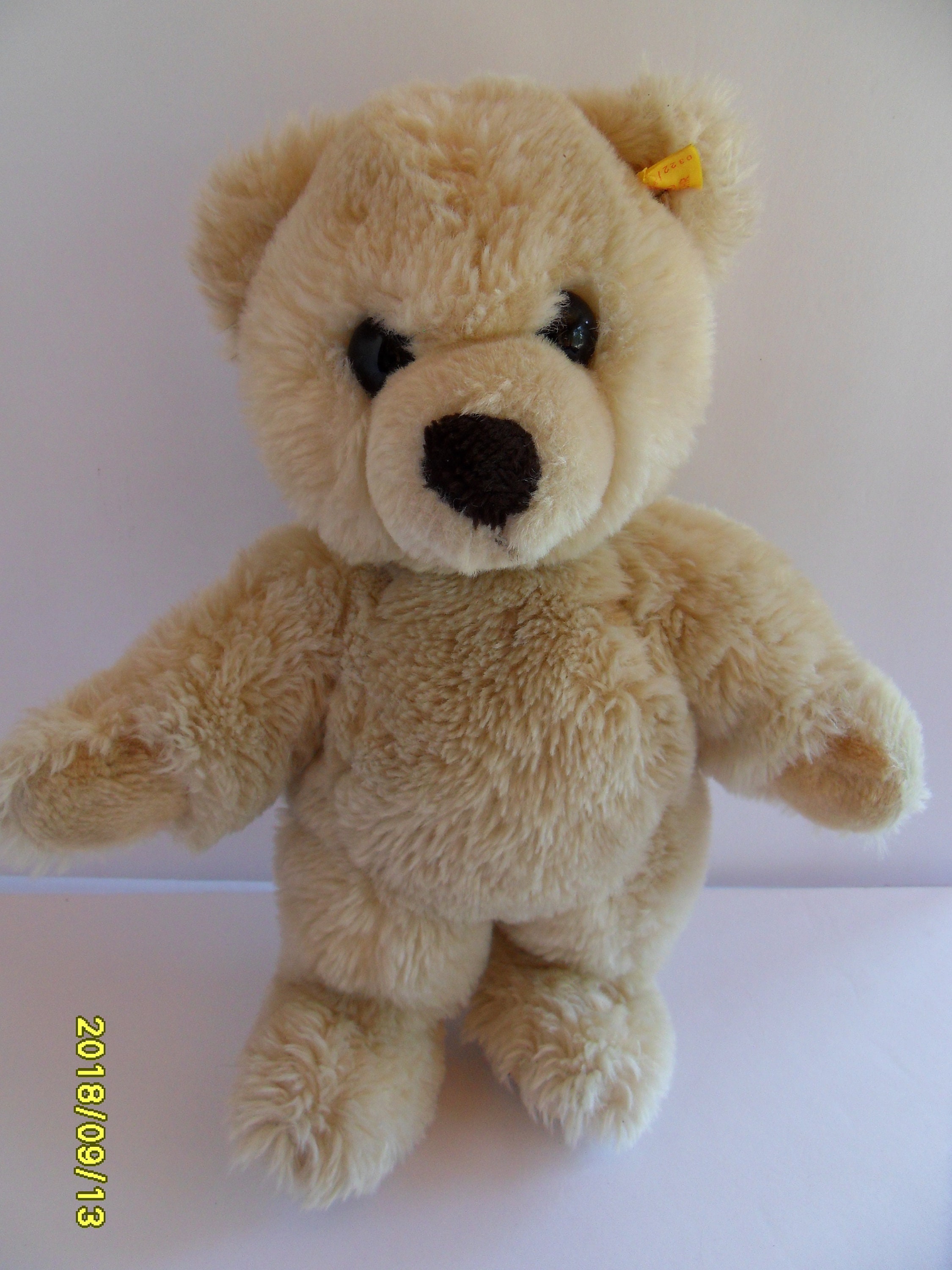 steiff bear