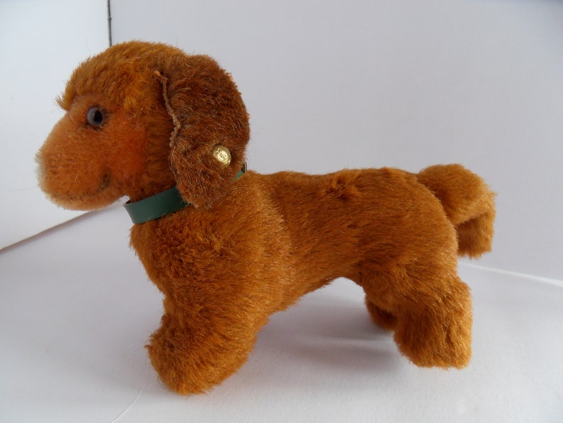 steiff dog
