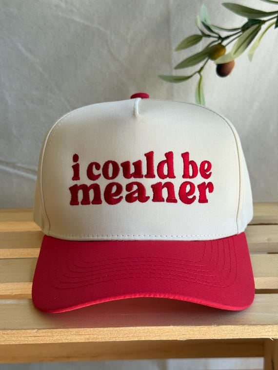 I Could Be Meaner Embroidered Trucker Hat – Sarcastic Two  display picture 3