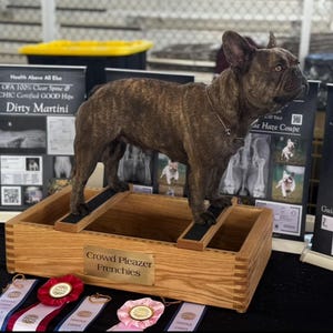 Caja apilable de calidad para perros