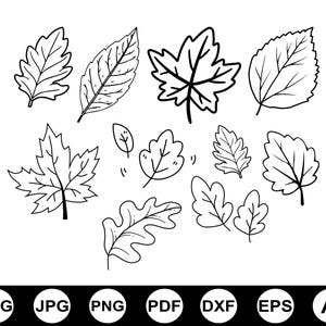 Hojas de otoño SVG, Otoño SVG, Paquete de hojas de otoño SVG, Otoño PNG, Clipart SVG, Archivos de corte para Cricut, Archivos Glowforge, Silueta, Halloween SVG