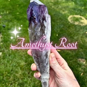 Beautiful Amethyst Root