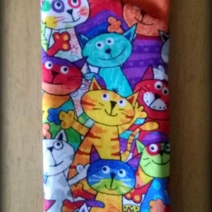 CAT EYEGLASSES CASE