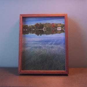 8x10 Slim Gallery Style walnut Frame with Maple Splines