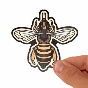 Honey Bee Hand Drawn Sticker | Weatherproof Vinyl Decal | by Sprouted Scribbles