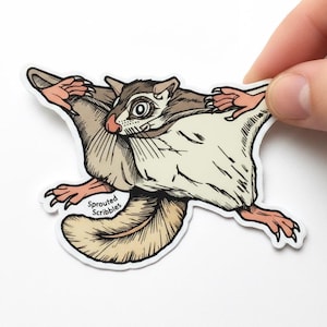 May include: A die-cut sticker featuring a stylized illustration of a sugar glider in mid-air with its limbs extended. The creature has brown and cream fur, pink paws, and large eyes. The text Sprouted Scribbles is printed in black near the tail.