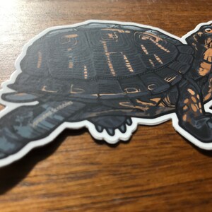 May include: A die-cut sticker featuring a detailed illustration of a box turtle with a dark brown and black shell, tan skin markings, and sharp claws. The turtle is depicted in a side profile view with the text Sprouted Scribbles visible.