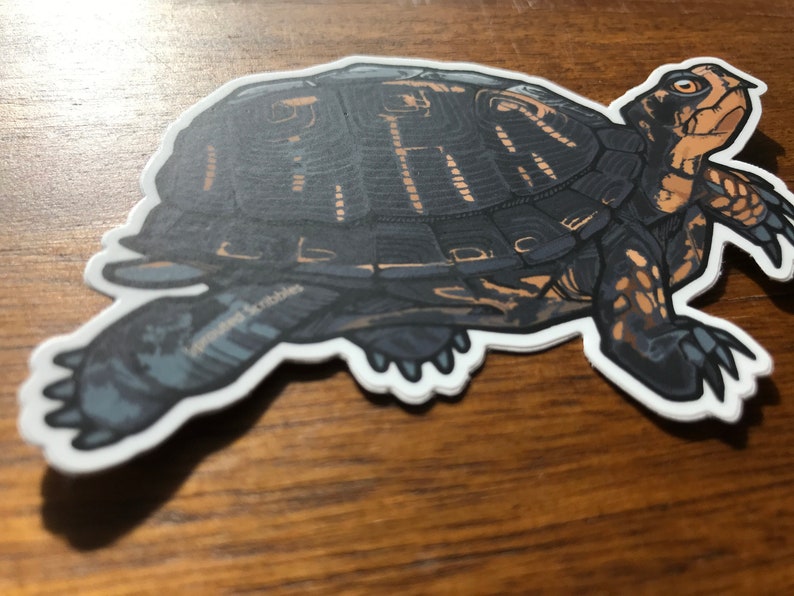 May include: A die-cut sticker featuring a detailed illustration of a box turtle with a dark brown and black shell, tan skin markings, and sharp claws. The turtle is depicted in a side profile view with the text Sprouted Scribbles visible.