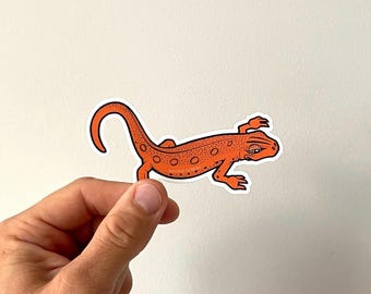 Salamander Sticker | VEHICLE SIZED | Red Spotted Newt | Weatherproof Vinyl | Length 4.2 Inches