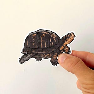May include: A die-cut vinyl sticker featuring a detailed illustration of a box turtle. The turtle has a dark brown, textured shell with light orange markings, and its head and limbs are a mix of dark brown and orange tones with visible claws.