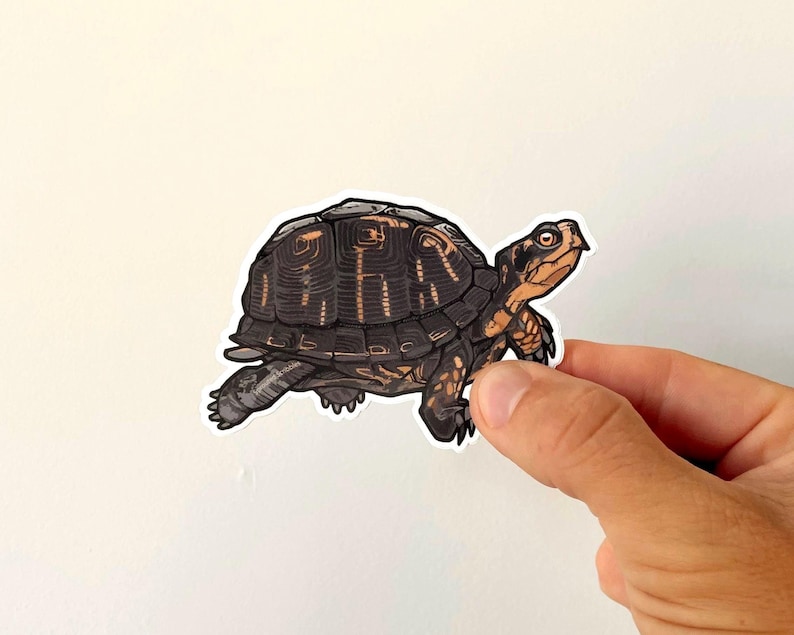 May include: A die-cut vinyl sticker featuring a detailed illustration of a box turtle. The turtle has a dark brown, textured shell with light orange markings, and its head and limbs are a mix of dark brown and orange tones with visible claws.