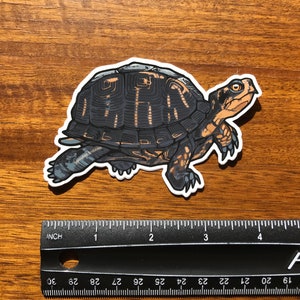 May include: A die-cut sticker of a turtle with a dark gray and black shell featuring orange markings, positioned above a black ruler that shows the sticker is approximately 4 inches long. The text Sprouted Scribbles is printed on the turtle's leg.