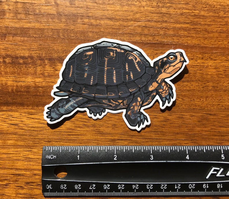 May include: A die-cut sticker of a turtle with a dark gray and black shell featuring orange markings, positioned above a black ruler that shows the sticker is approximately 4 inches long. The text Sprouted Scribbles is printed on the turtle's leg.