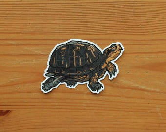 Pegatina de tortuga de caja del este / Calcomanía de vinilo resistente a la intemperie