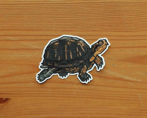 Eastern Box Turtle Sticker | Weatherproof Vinyl Decal