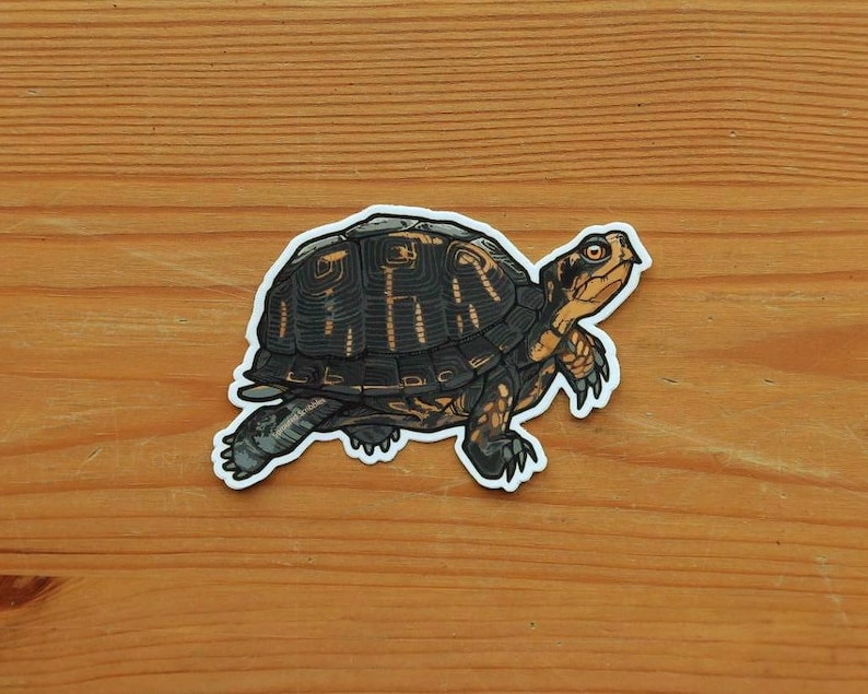 May include: A die-cut sticker featuring a detailed illustration of a turtle with a dark brown, textured shell and tan skin with black markings. The turtle is depicted in a side profile view, facing toward the right, with a white border outline.