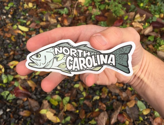 NC Sticker 4.5 North Carolina Fish Fishing Tackle Box Spotted Trout  Fisherman Gift Waterproof Vinyl Decal Water Bottle Bumper -  Denmark