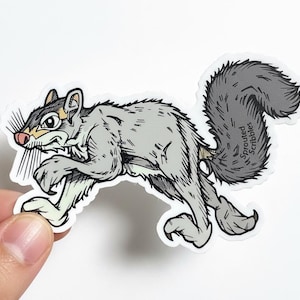 May include: A die-cut sticker featuring a cartoon squirrel in a dynamic running pose. The squirrel is colored in shades of gray with a white underbelly, black outlines, and a pink nose. The text Sprouted Scribbles is printed on the tail.