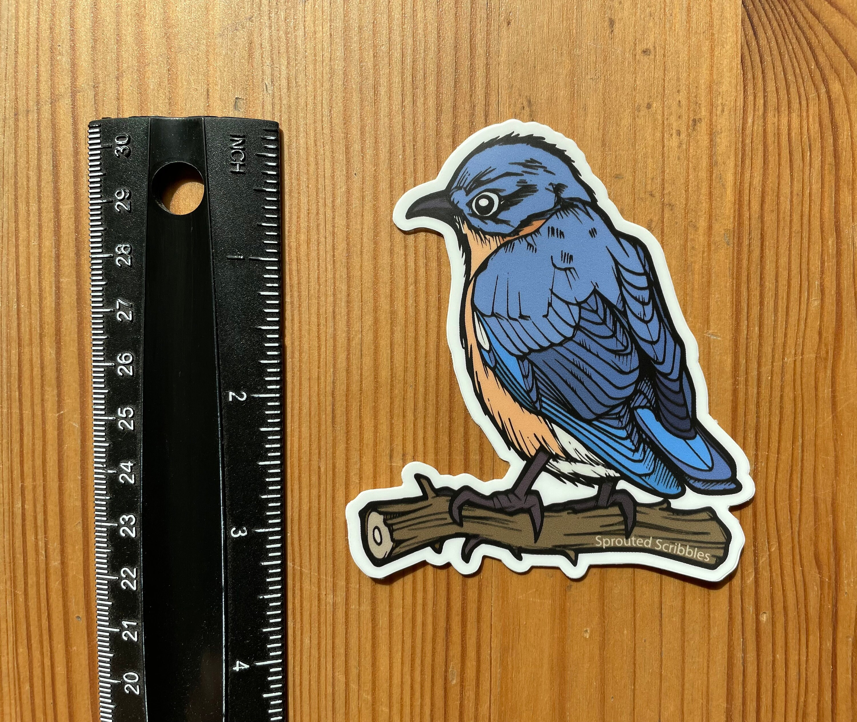 Eastern Bluebird Sticker - Etsy