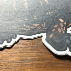 May include: A die-cut sticker featuring a detailed illustration of a turtle with a dark gray shell and tan markings. The turtle has visible claws on its feet and is outlined with a thick white border, showcasing a high-contrast graphic design.