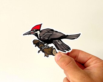 Pileated Woodpecker Sticker | Length 4.5 Inches