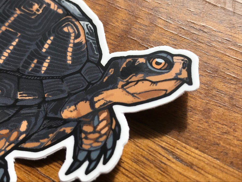 May include: A die-cut sticker featuring a detailed illustration of a turtle with a dark gray and black patterned shell. The turtle has a tan and black head with a prominent orange eye, and tan markings on its neck and front leg, outlined in white.