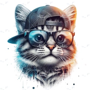 Op de afbeelding: Een digitaal geschilderd portret van een kat met een zwarte baseballcap en een zwart montuur bril. De kat heeft grijs en wit haar met blauwe en oranje kleurverlopen. De ogen van de kat zijn zichtbaar door de bril.