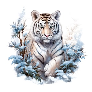 Op de afbeelding: Een witte tijger met zwarte strepen en lichtblauwe ogen, centraal geplaatst. De tijger is omringd door met sneeuw bedekte takken en bladeren, met een zachte winterse uitstraling. De vacht is gedetailleerd met witte en crèmekleurige tinten.
