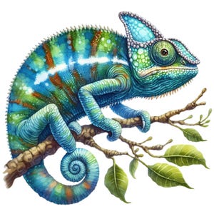 May include: A colourful watercolour illustration of a chameleon on a branch. The chameleon is depicted in shades of blue, green, and orange. The branch is brown with green leaves, set against a white background.