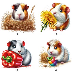 Op de afbeelding: Vier digitale illustraties van cavia's. Eén zit in hooi, een ander houdt een paardenbloem vast, een derde met een rode paprika en de laatste met een kleurrijke bal. De cavia's hebben verschillende vachtkleuren.