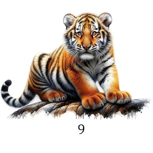 Op de afbeelding: Een digitale illustratie van een tijgerwelp met oranje vacht en zwarte strepen, zittend op een getextureerde bruine boomstam. Het welpje heeft witte vacht rond de snuit en borst, met amberkleurige ogen. Het cijfer 9 staat onder de tijger.