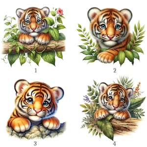 Peut inclure: Quatre illustrations de bébés tigres. L'image 1 montre un petit tigre sur une branche avec des feuilles vertes et une fleur rose. L'image 2 montre un petit tigre parmi le feuillage vert. L'image 3 montre un petit tigre sur une surface rocheuse.