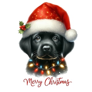 Peut inclure: Illustration numérique d'un chiot Labrador noir portant un chapeau de Père Noël rouge avec du houx et une guirlande lumineuse. Les mots "Merry Christmas" sont écrits en script rouge en dessous.