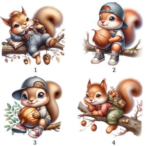 Può includere: Quattro adorabili scoiattoli dei cartoni animati sono raffigurati in varie pose. Uno scoiattolo si rilassa su un ramo, mentre altri tengono noci o indossano cappelli. Le illustrazioni presentano colori caldi e trame di pelliccia dettagliate, creando un tema forestale stravagante.