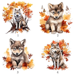 Pode incluir: Um conjunto de quatro ilustrações digitais com lobos e folhagem de outono. As imagens 1 e 4 mostram lobos adultos sentados perto de árvores com folhas laranja e amarelas. As imagens 2 e 3 retratam filhotes de lobo rodeados por folhas caídas.