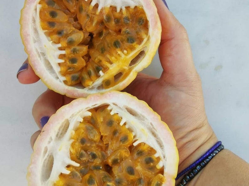 25 Seeds Passion Fruit Orange