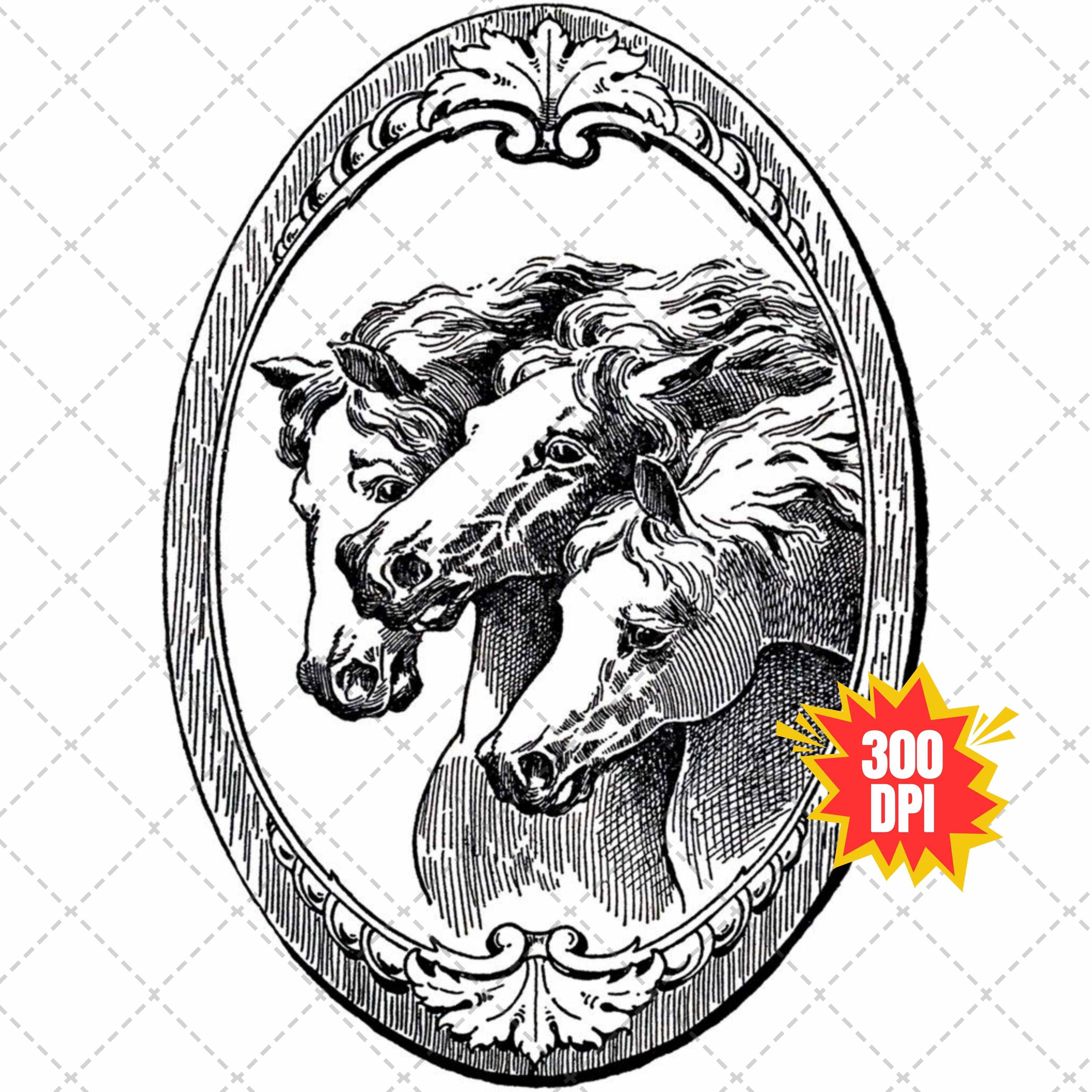 Horse Print in Oval Frame - Etsy display picture 1