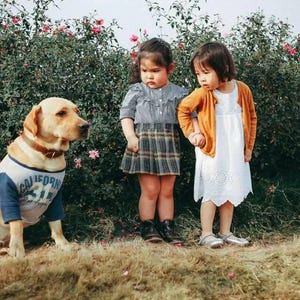 Pegatinas de amor con perros, divertidas pegatinas de perros y niños, para mesa y portátil, de 5,5"