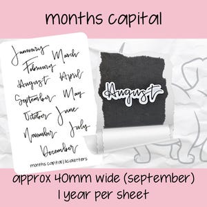 Months Script Planner Stickers | Capital Month Names Stickers | Monthly Planner Stickers | Hand Lettered Months | Planner Month Headers