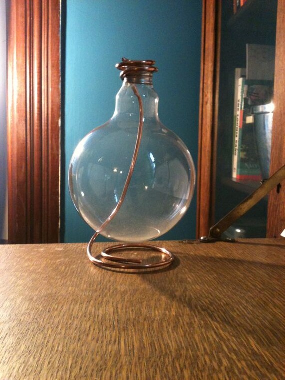 Lightbulb Bud Vase Etsy