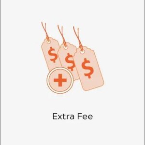 May include: Illustration of three price tags with dollar signs and a plus sign icon, all in a light orange color. The text "Extra Fee" is displayed below the icons.