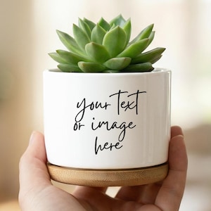 May include: A set of three ceramic mugs with a speckled, matte finish. The mugs are in shades of cream, light gray, and dark gray. Each mug has a simple, minimalist design, perfect for coffee or tea.