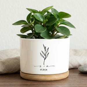 Puede incluir: Una maceta de cerámica blanca con una planta verde, una base de madera y un diseño floral negro. La maceta tiene las iniciales "s + a" y la fecha "07.20.26" en negro. La planta tiene hojas verdes. La maceta está sobre una superficie de madera.